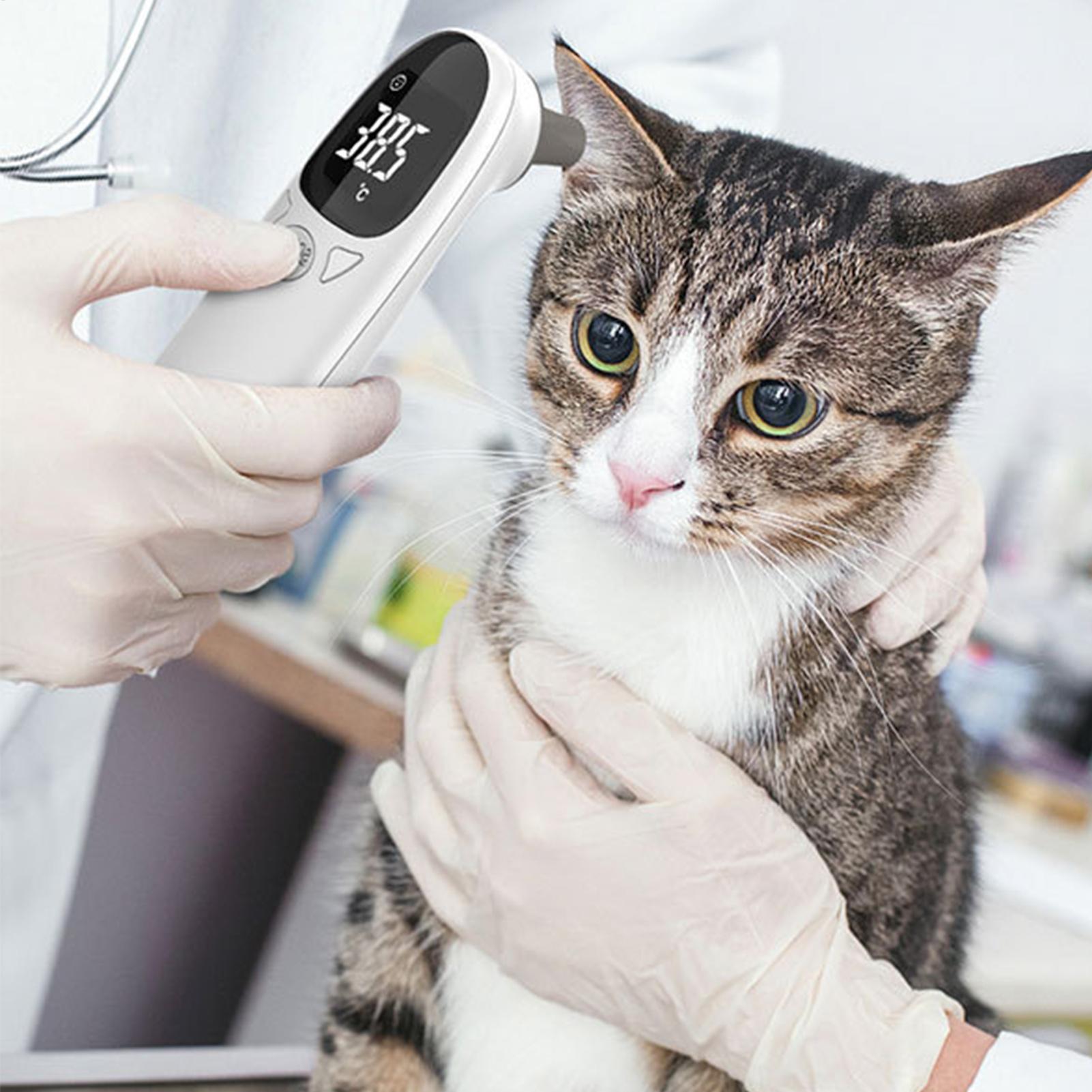 Pet Ear Digital Thermometer No - Pet Supplies Vet reseña y precio