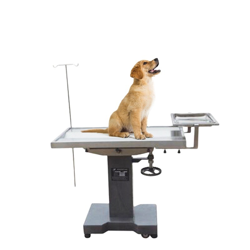 Pet Animals Medical Operation  - Pet Supplies Vet reseña y precio
