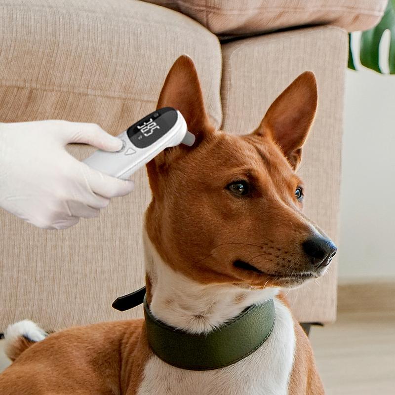 Pet Thermometers For Dogs Vet  - Pet Supplies Vet reseña y precio