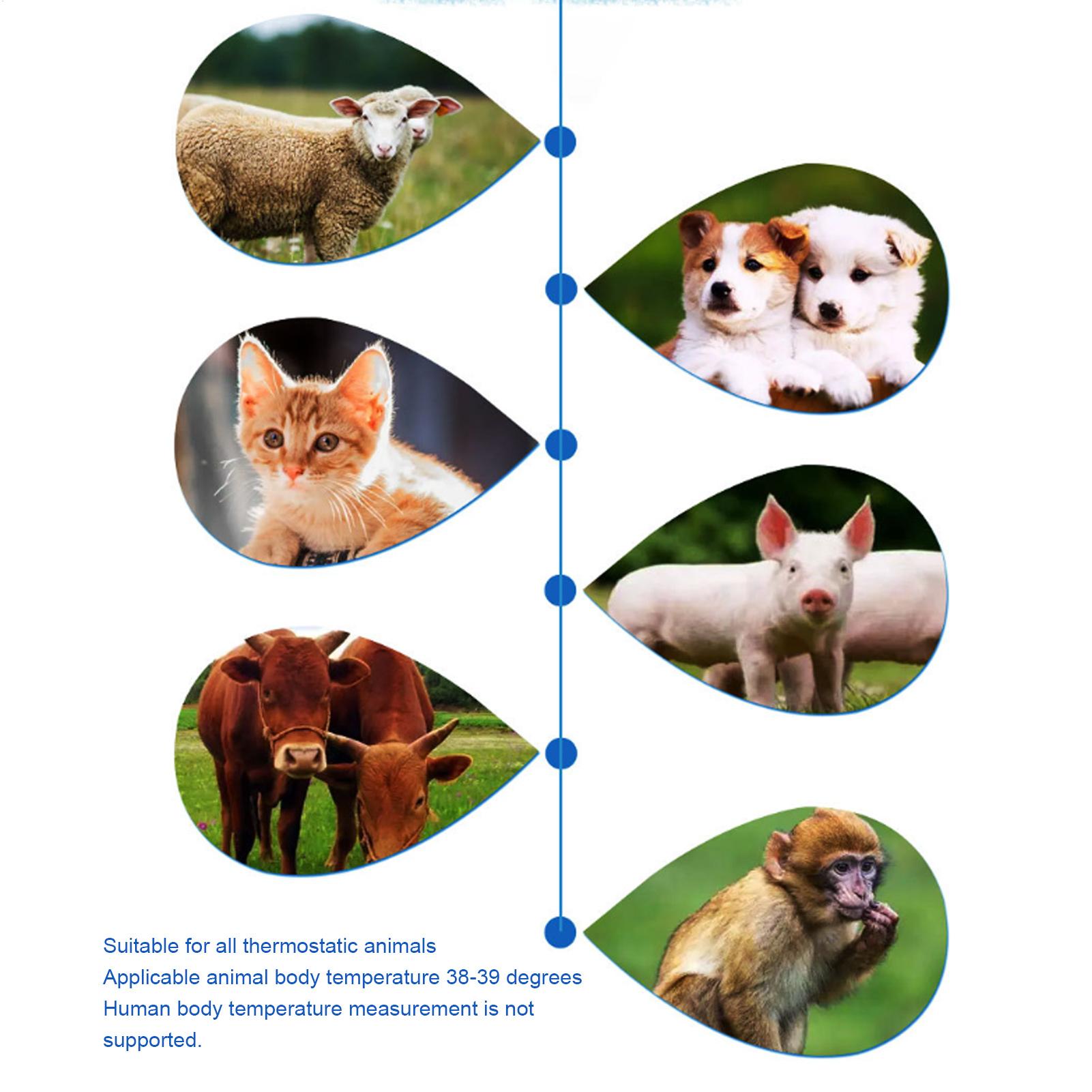 Animal Temperature Detector Du - Pet Supplies Vet reseña y precio