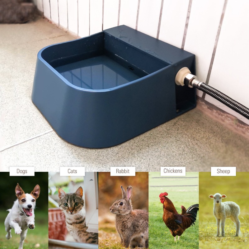 Pet Automatic Water Dispenser  - Pet Supplies Unlimited reseña y precio