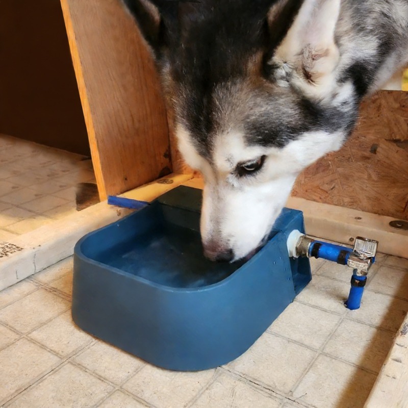 Pet Automatic Water Dispenser  - Pet Supplies Unlimited reseña y precio