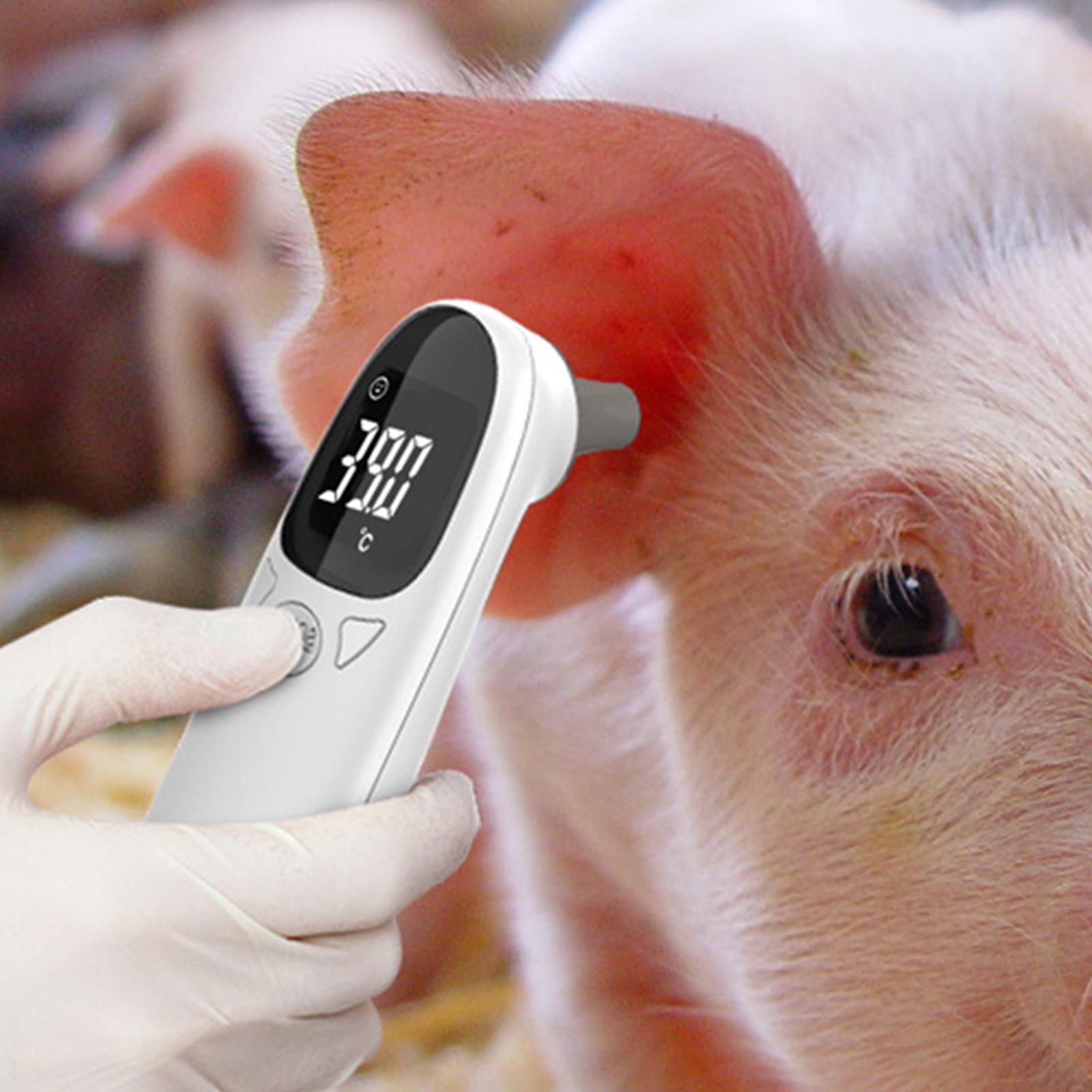Dog Cat Ear Thermometer Medica - Pet Supplies Vet reseña y precio