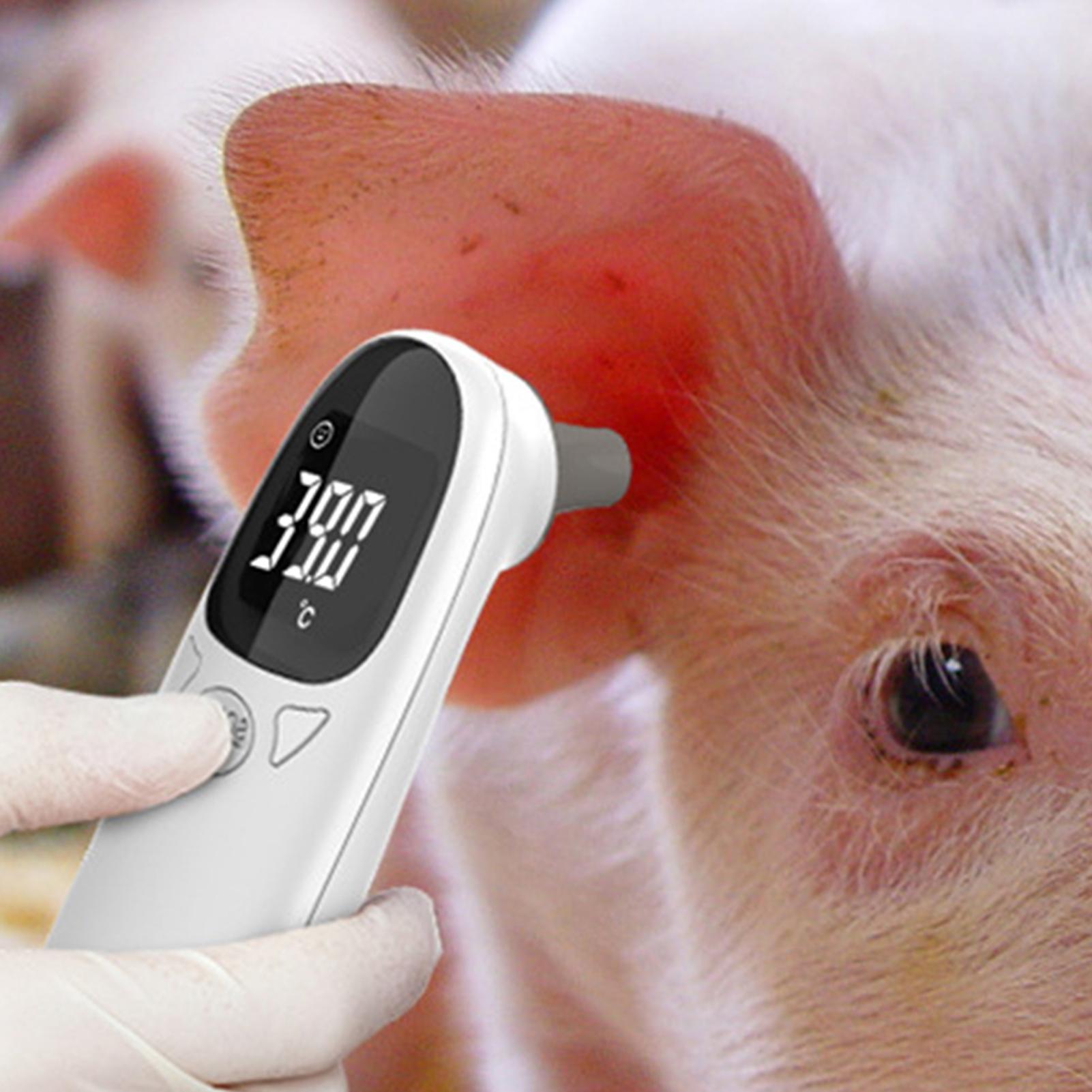 Dog Cat Ear Thermometer Medica - Pet Supplies Vet reseña y precio