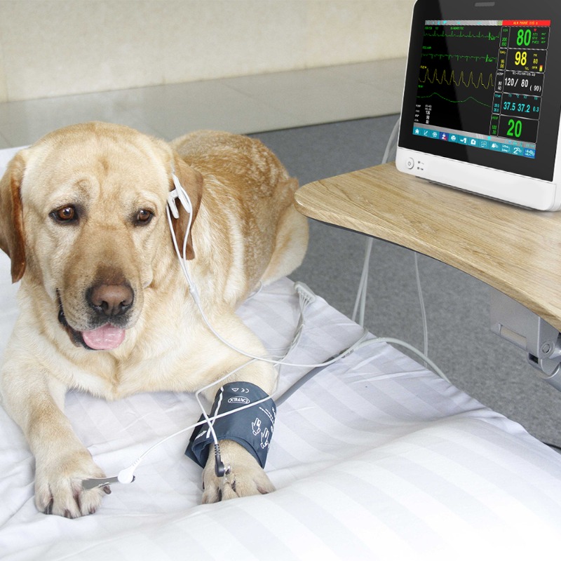 Veterinary Pet Touch Screen Po - Pet Supplies Vet reseña y precio